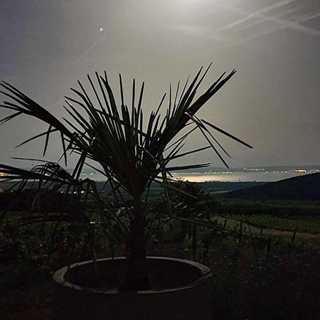 Вилла Panorama, Balaton Дёргиче Экстерьер фото