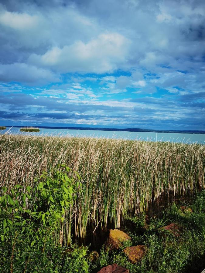 Вилла Panorama, Balaton Дёргиче Экстерьер фото